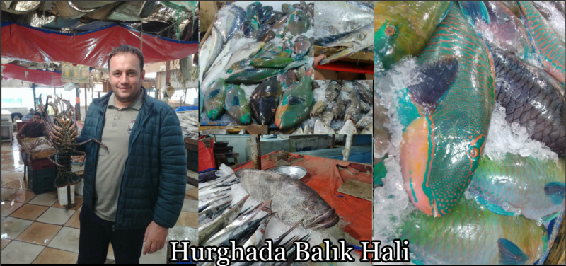 Hurghada Balık Hali