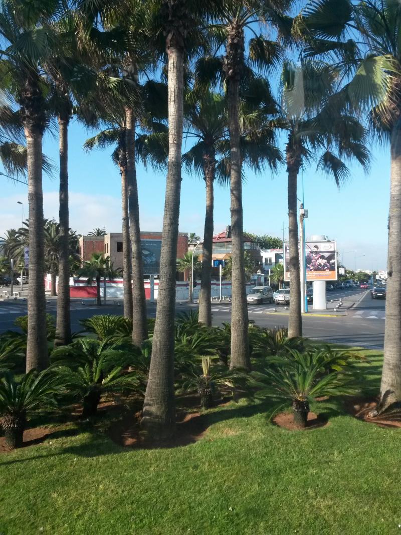 Kazablanka'dan bir kesit.