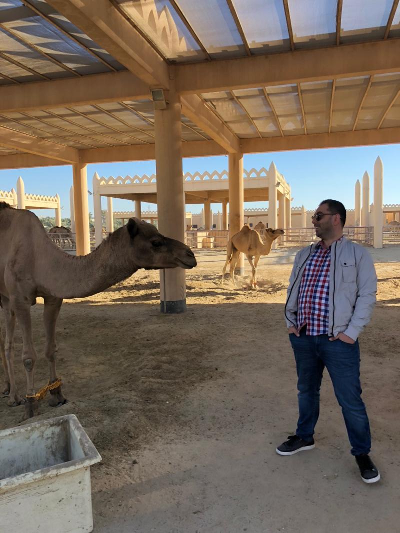 Camel Farm