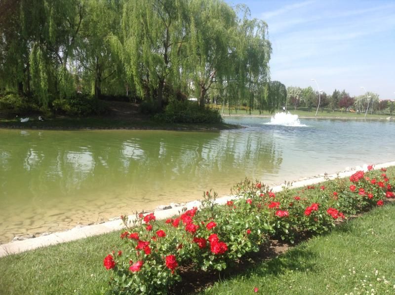 Kentpark