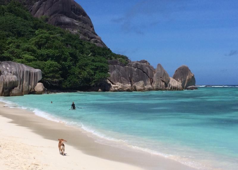 Anse Sourge D'argent Beach