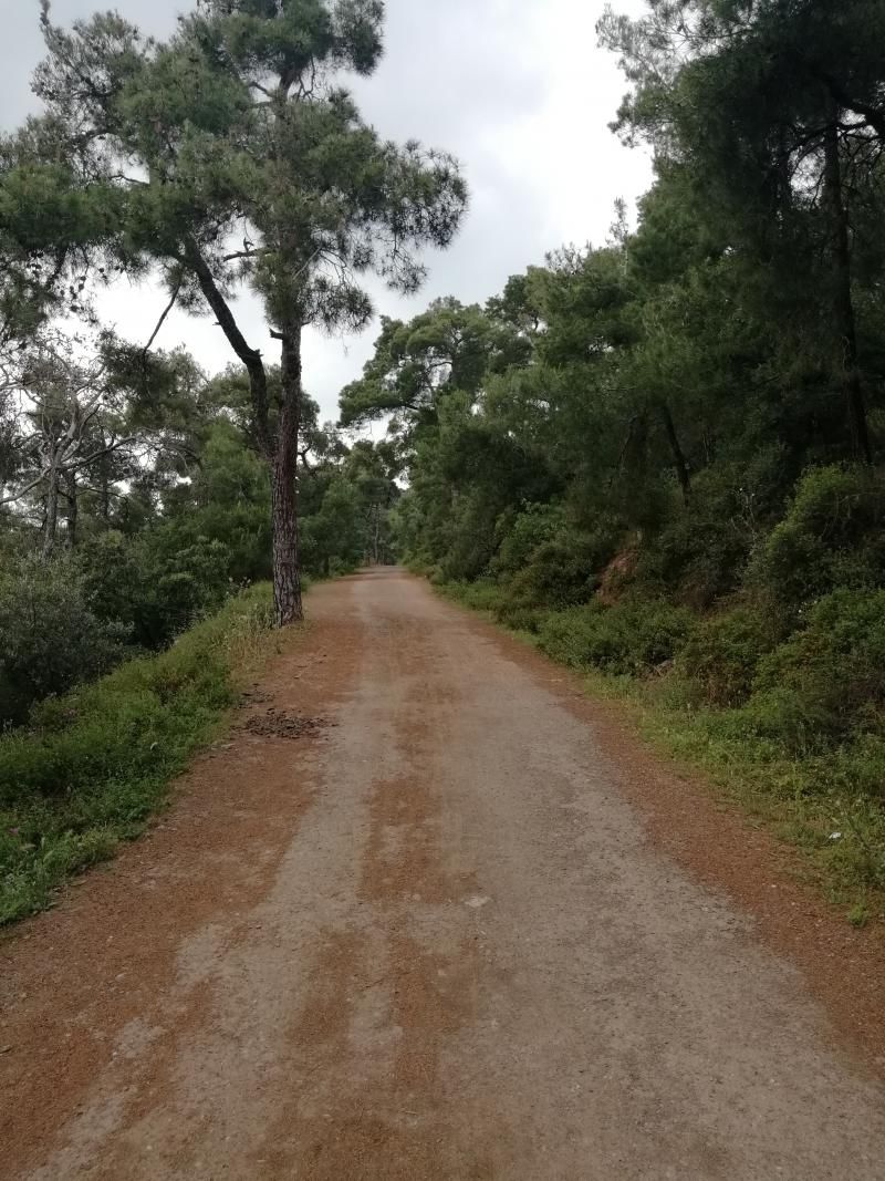 Toprak yol