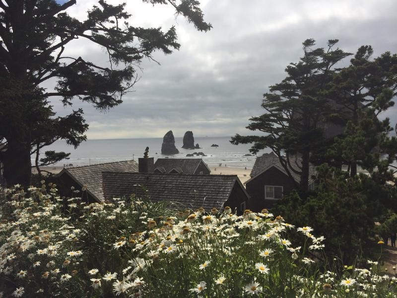 Odamın balkon manzarası