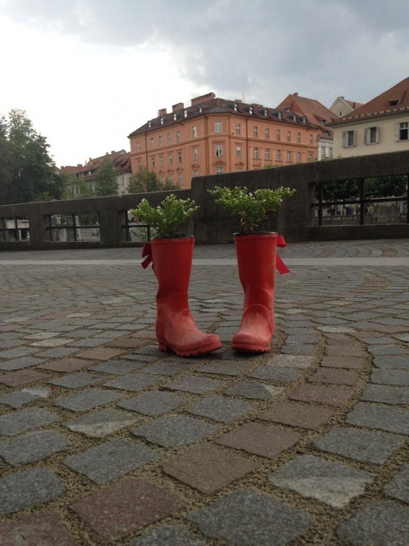 Ljubljana Sokakları