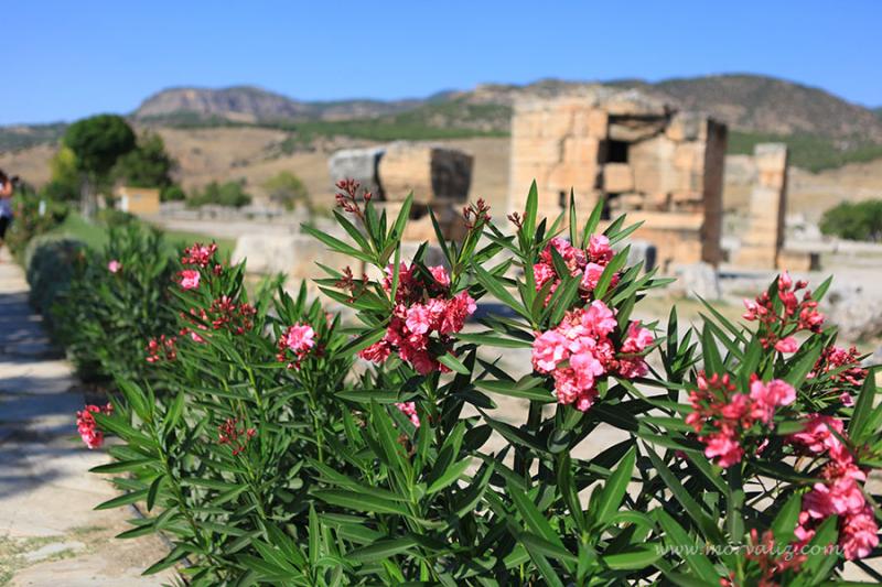 Hierapolis Antik kent girişi