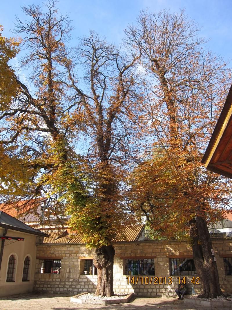 Gazi Hüsrev Bey Camii