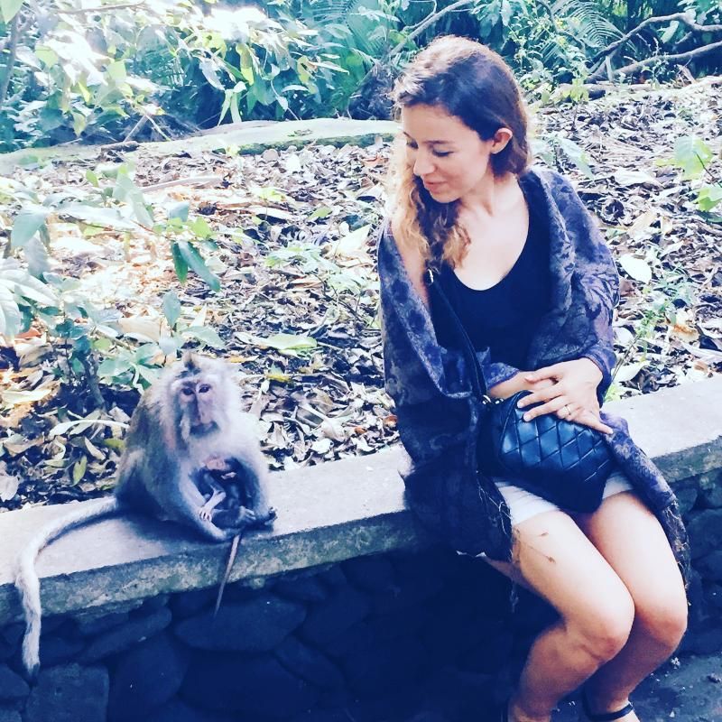 monkey forrest