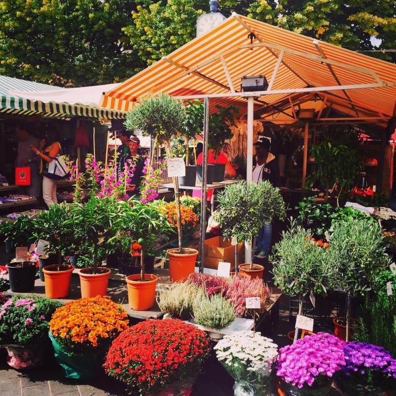 Vieux Nice’teki Çiçekçiler