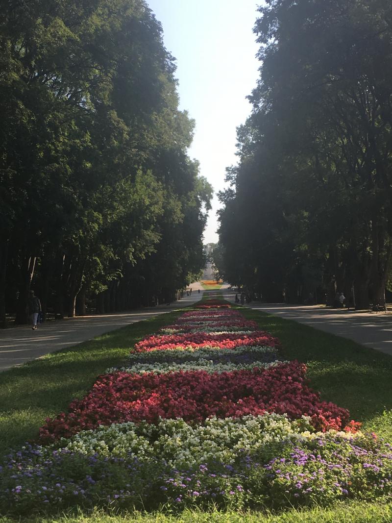 Varnanın bahçesinden kare