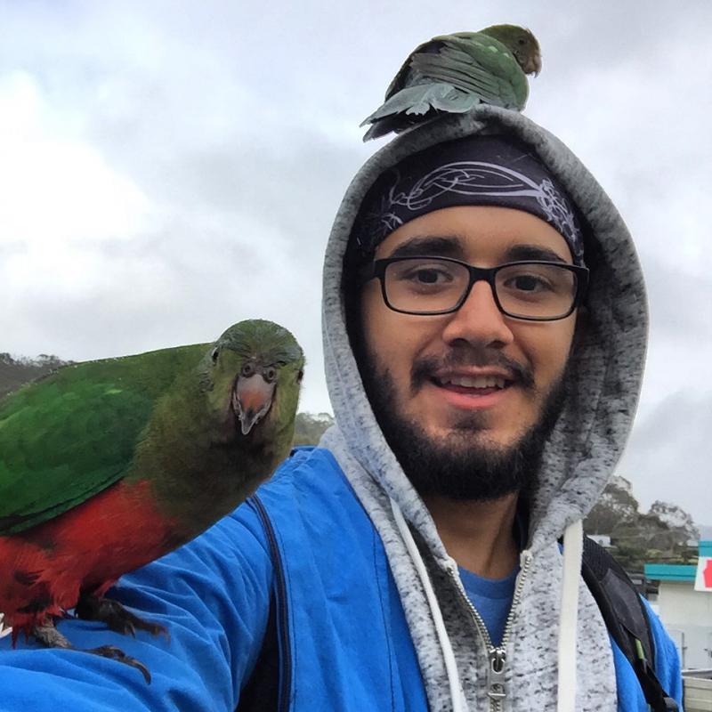 Kennett River'ın insan canlısı kuşları