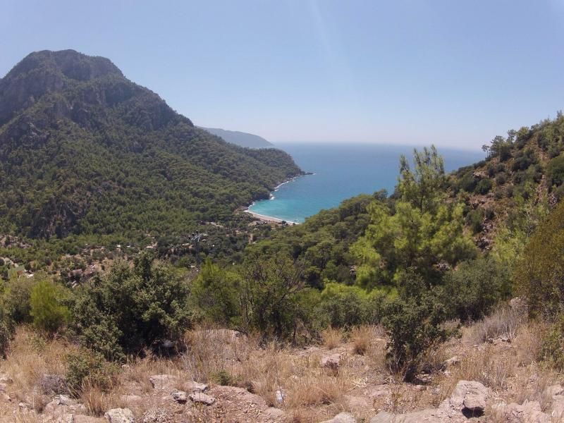 kabak koyu