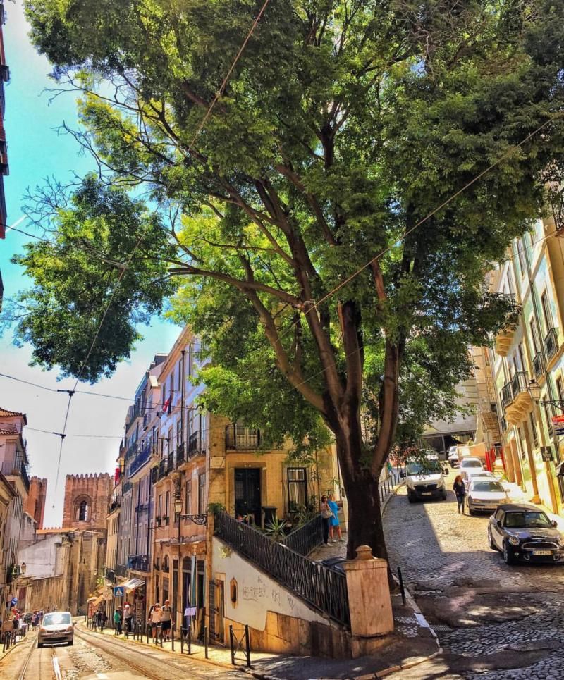 Lizbon sokaklarında kaybolmak çok keyifli bol bol yürümekte fayda var, hiçbir detayı kaçırmamak için.