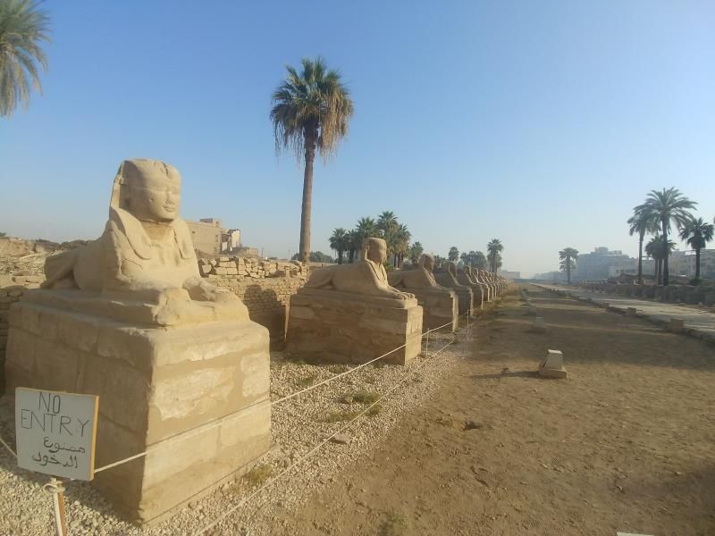 Luxor sfenksli yol