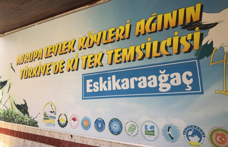 Yurt Ici Otelleri Ekonomik Fiyatlarla Jolly Tur