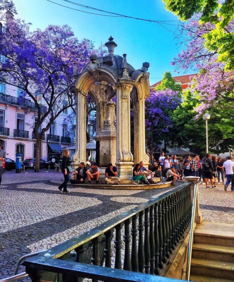 mor sümbül cinsinde çiçek ve ağaçlarla donanmış