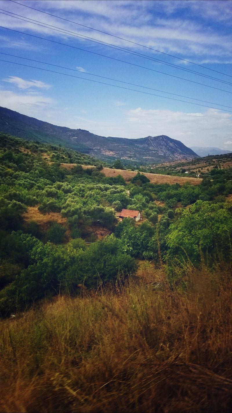 ihtişamlı torosların uzantısı...