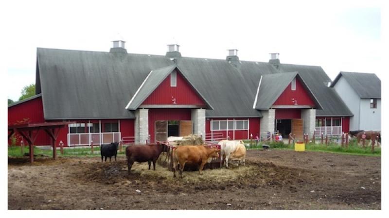 Animal-barns.jpg