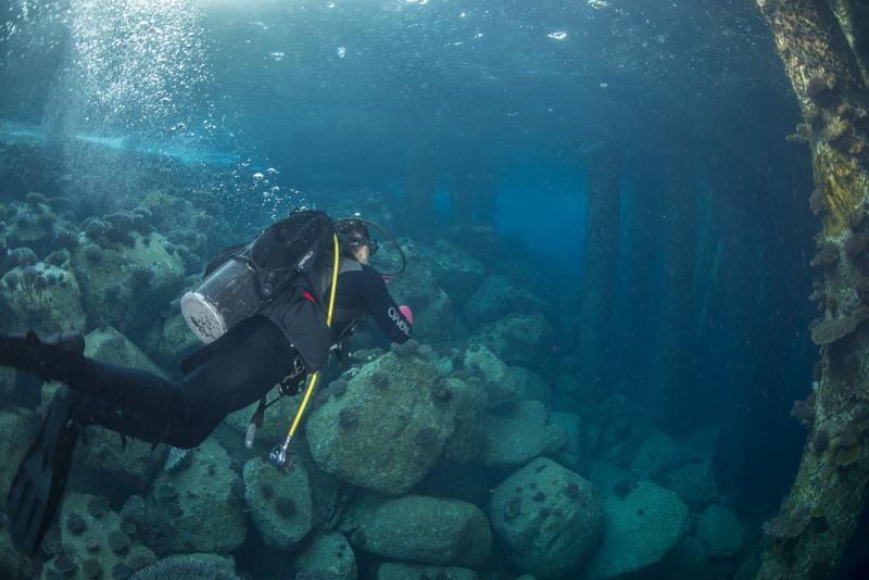 Aqaba_ATFP_Dive_150225-N-CN059-040.jpg