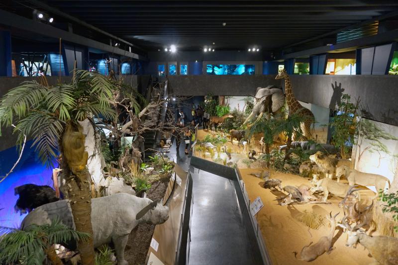 Geneva_Natural_History_Museum.jpg
