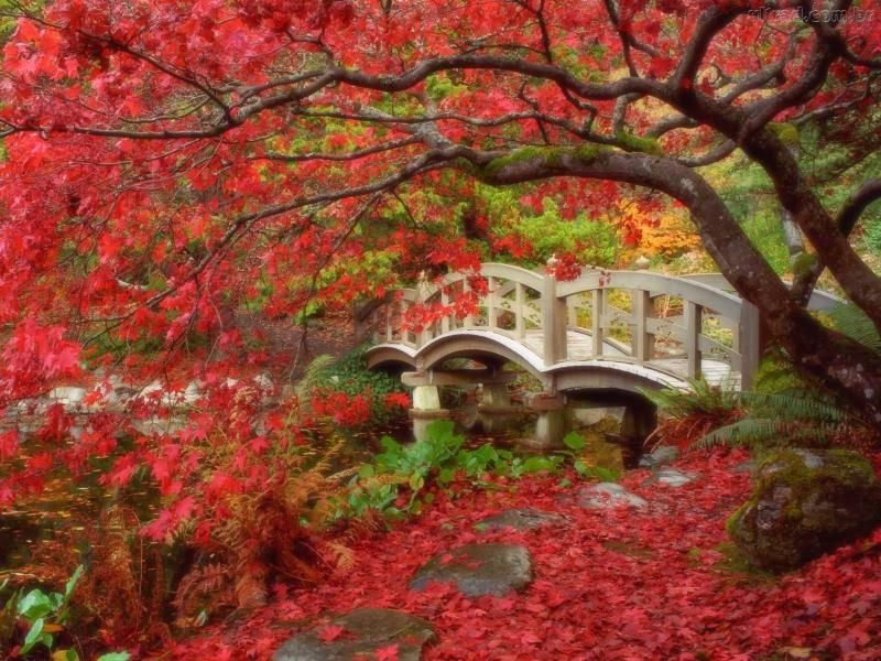 Nishinomaru-Garden3.jpg