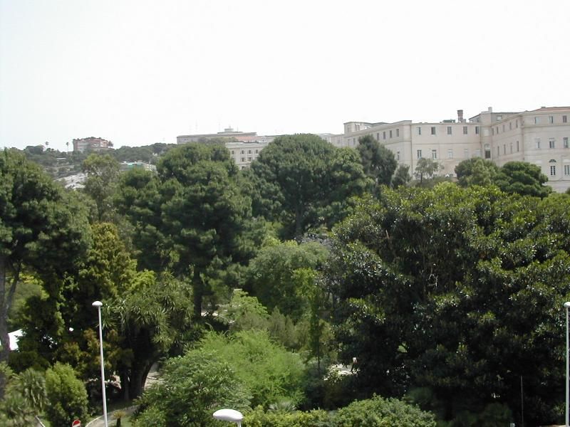 Orto_Botanico_di_Cagliari.jpg