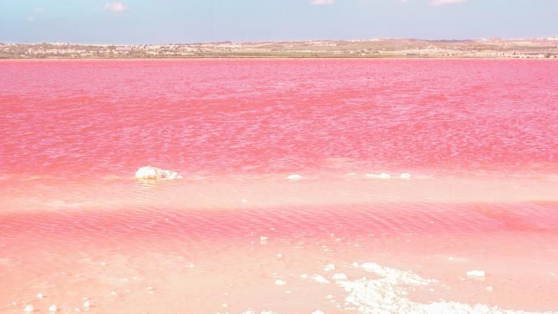 Pink-Salt-lake.-Torrevieja.jpg