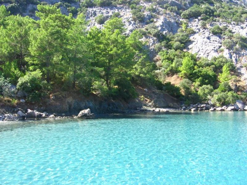 ceneviz_koyu_tekne_turu-1-1024x768.jpg