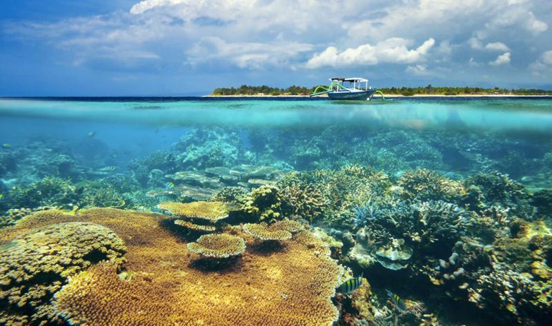 coral_reef_gili_meno.jpg