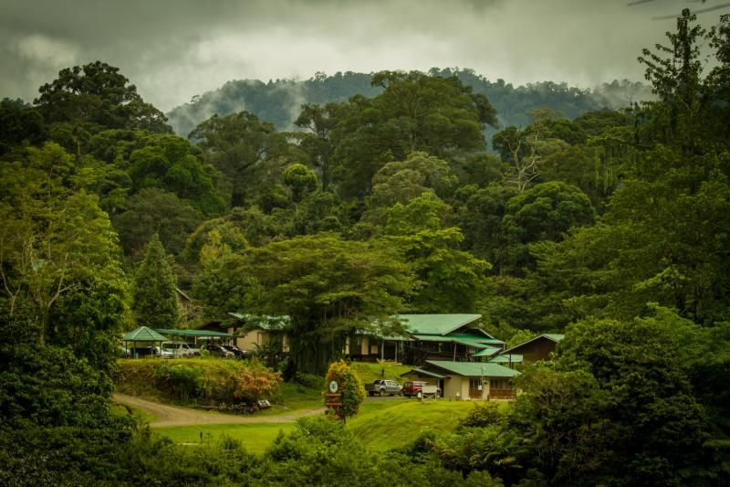 danum-valley-borneo-2.jpg
