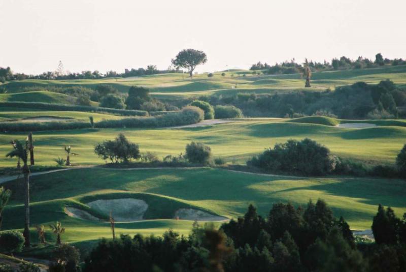 foret-course-golf-citrus-hammamet.jpg