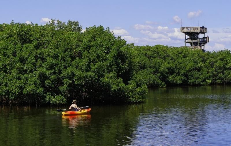 kayak-1523731_960_720.jpg
