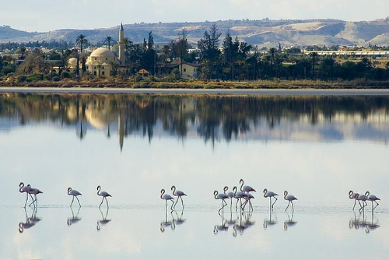 larnaca-salt-flats.jpg