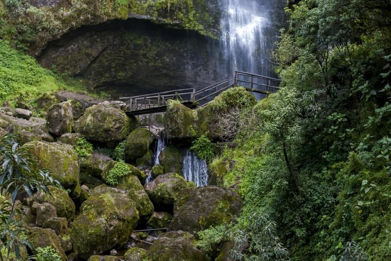nature-3151908_960_720.jpg