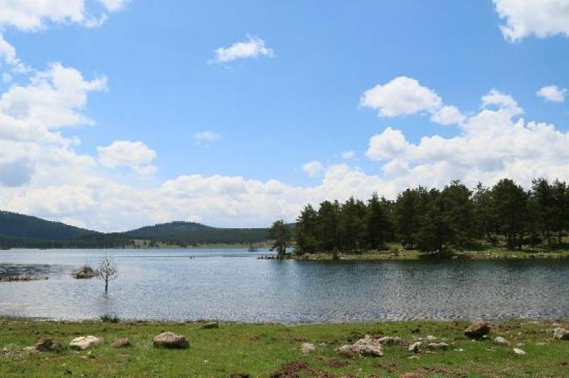 seben-golu.jpg