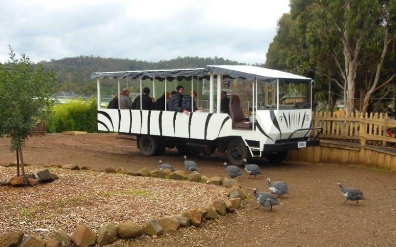 zoodoo-wildlife-park-safari-bus1.JPG