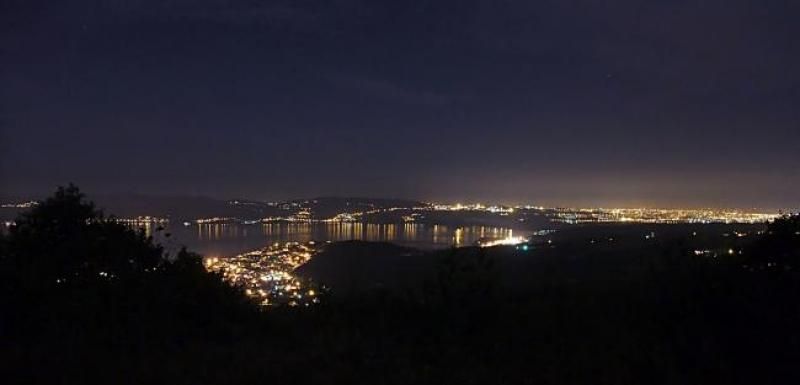 41018336.jpg