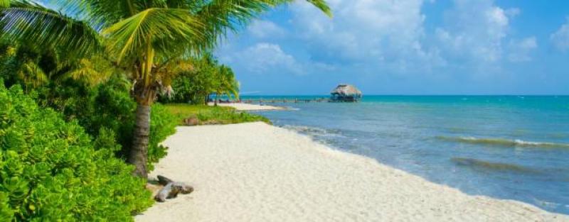 Beautiful-beach-in-Belize--Central-America-Tours--On-The-Go-Tours-244691415098697_crop_1024_400.jpg