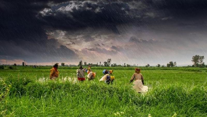 Monsoon_in_India.jpg