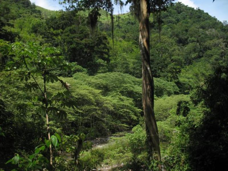 MontanasdelaSierradeAgalta_Honduras.jpg