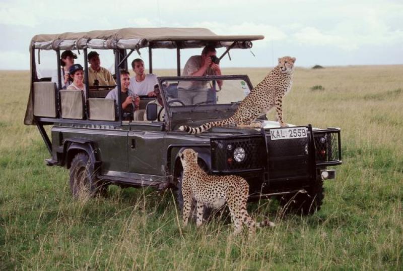 Safari-Masai-Mara-1.jpg