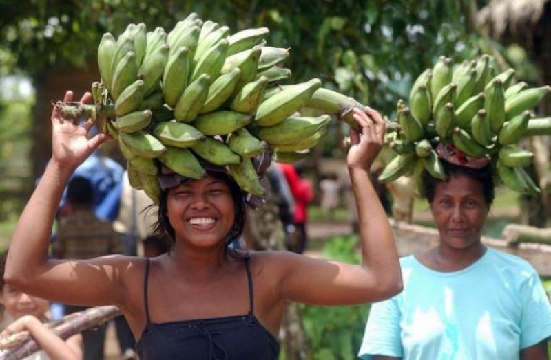 TA-bananas-small.jpg