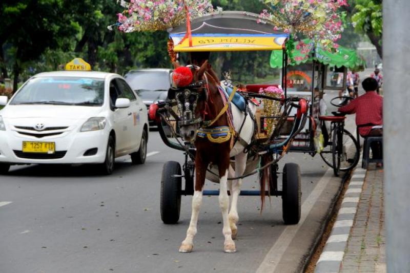 andong.jpg