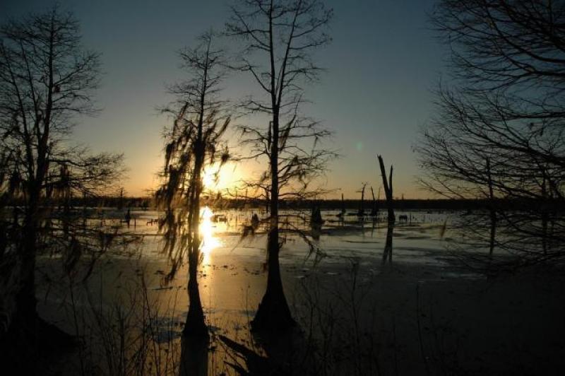 bayou-912244_960_720.jpg