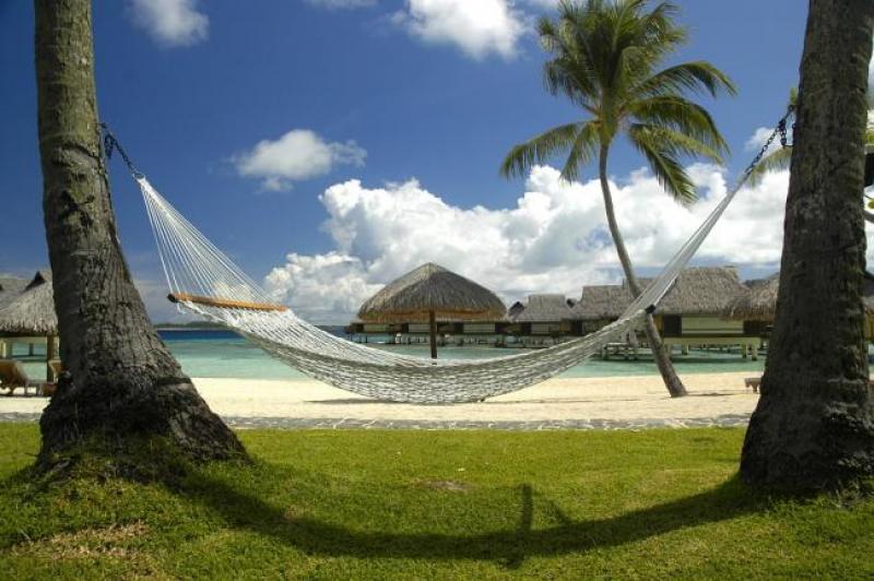 beach-1835293_960_720.jpg