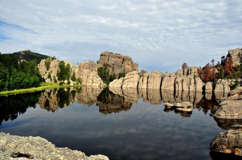 custer-state-park-1344380__340.jpg