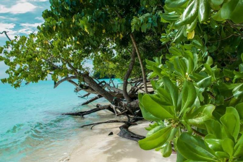 island-2063908_960_720.jpg