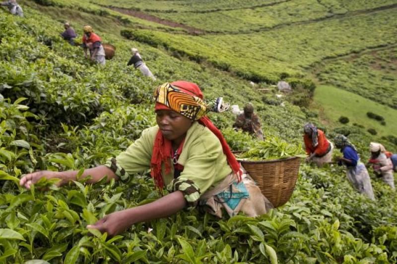 just-one-of-tim-smiths-photos-of-rwanda.jpg