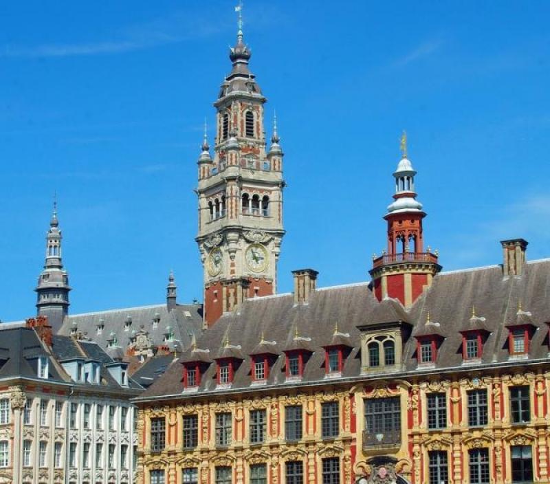 lille-1426569_960_720.jpg