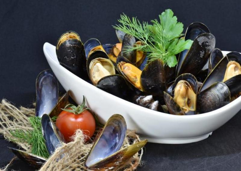 mussels-3148413_960_720.jpg