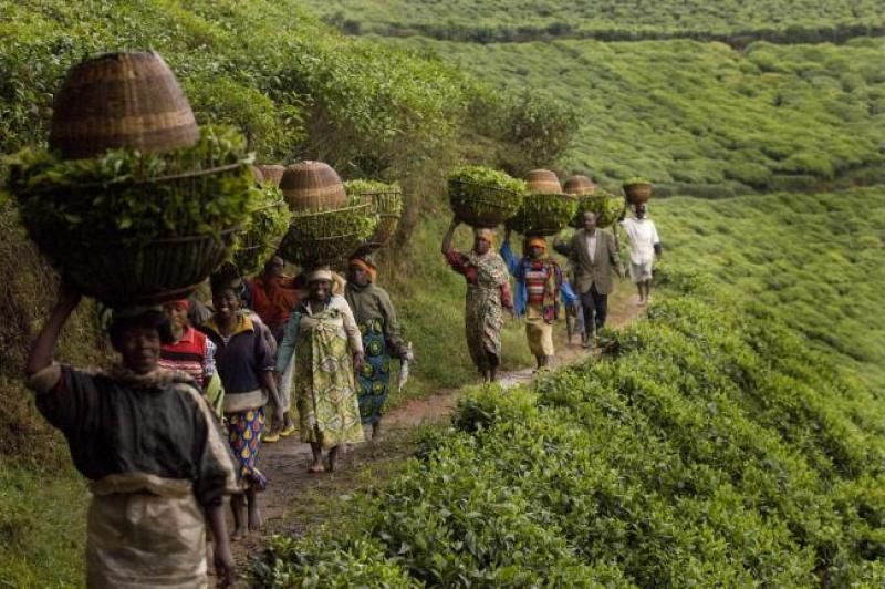 Ruanda Gezi Rehberi | Gezimanya